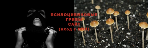 крисы Арсеньев