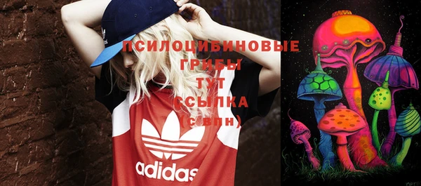 Альфа ПВП Армянск