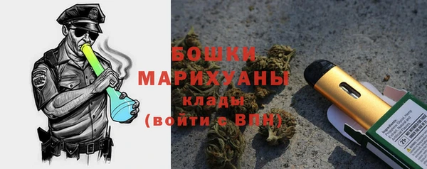 крисы Арсеньев