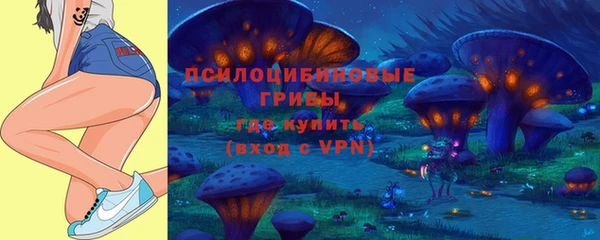 Альфа ПВП Армянск