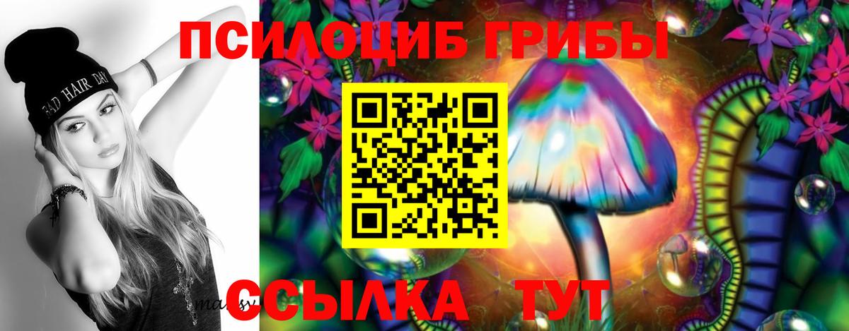 Галлюциногенные грибы Psilocybe Мытищи